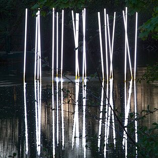 Lichtkunstwerk Schilfrohre von Sebastian Hempel der Lichtpromenade Lippstadt